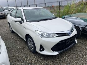 TOYOTA  Corolla Axio